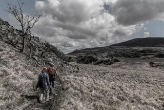 Killarney National Park Hike