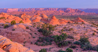Dawn at Little Cut