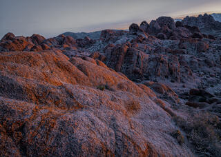 Predawn Light 