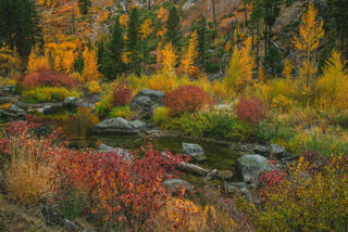Peak Colors Along the Water