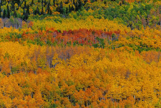 Intense Peak Colors 