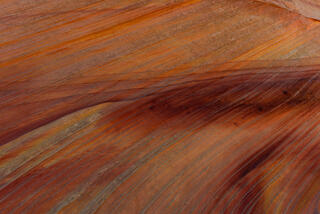 Deep Color Imbedded in the Rock 