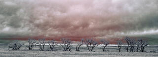 Eerie late winter clouds