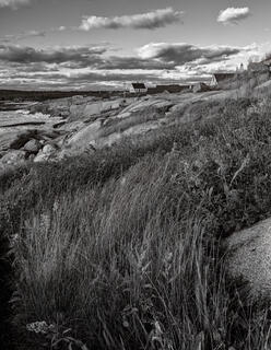 View along the coast