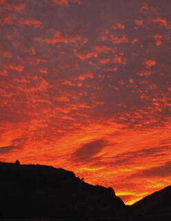 Foothills Awash in Color