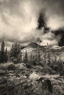 Snowy Range View