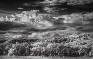Fall morning in South Dakota