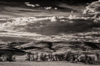 Custer State Park