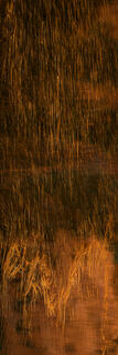 Pond Grass art