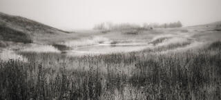 Pond in misty, foggy weather