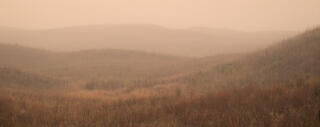 Heavy fog