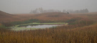 Sandhills pond in color