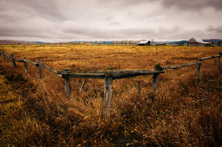 Corner fencepost View