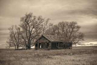 Old Abandoned homestead