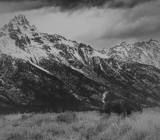 Mountain and Moose