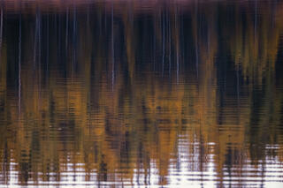 Jackson Lake Reflection