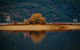 Beautiful Reflection