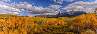 Peak Color on Last Dollar Road