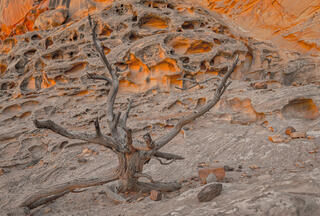 Soft Diffused Light in Canyon