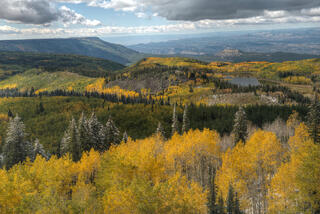 Grand Mesa Colorful Fall