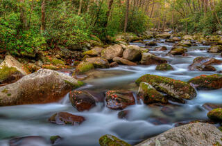 Fall in Smoky Mountains NP