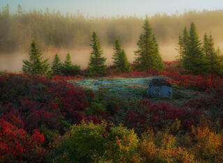 Fog lifting as the day begins