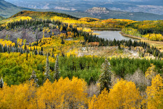 Fall Color Canvas
