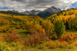 Brillant Colors of Fall