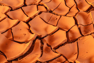 Mud cracks create art