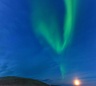 Northern Lights 