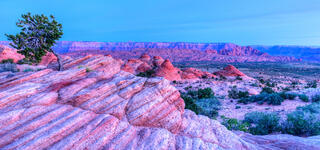 Stillness and Beauty in Predawn Light