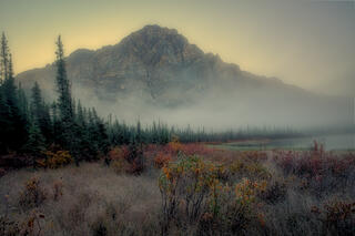Predawn Glow as Fog Lifts