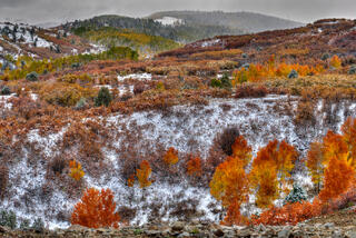 Early October Snow Dallas Divide