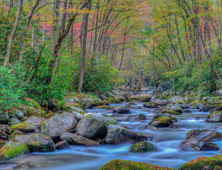 Peaceful Feeling Scene