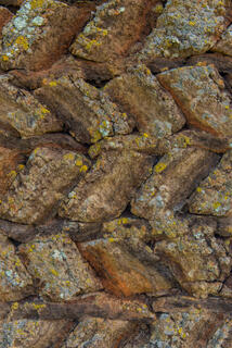 Ancient Sod Wall