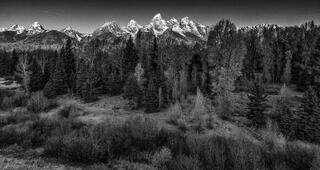 Teton Morning Light