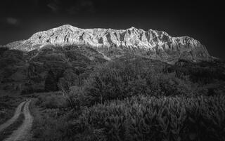 The line between morning and night