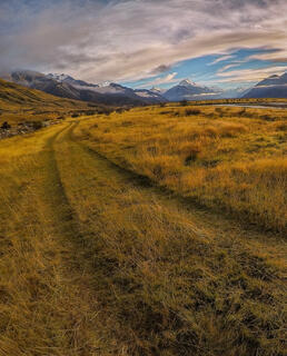Tracks Lead to Mt. Cook