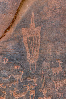 Petroglyph Images