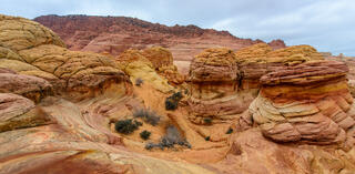 Looking Down at Water Pocket