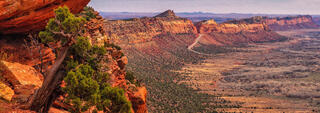 View From Comb Ridge