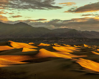 Warm Light at Dawn