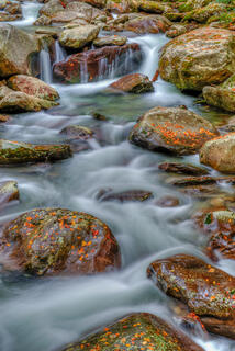 Fall Stream and its Beauty
