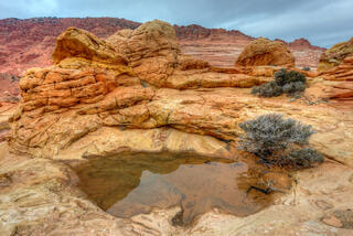 Water Pocket in North Coyote Buttes