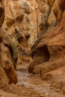 Willis Creek Slot Canyon