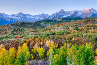 Fall Color Along Dallas Divide