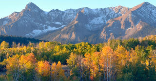 September Fall