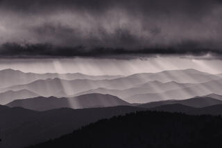 Dancing Light