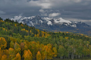 Dallas Divide Colors Beginning
