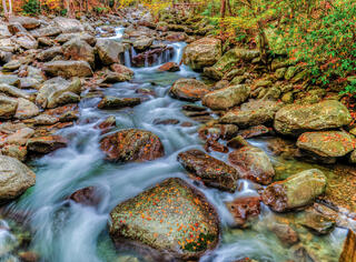 Stream in Fall 